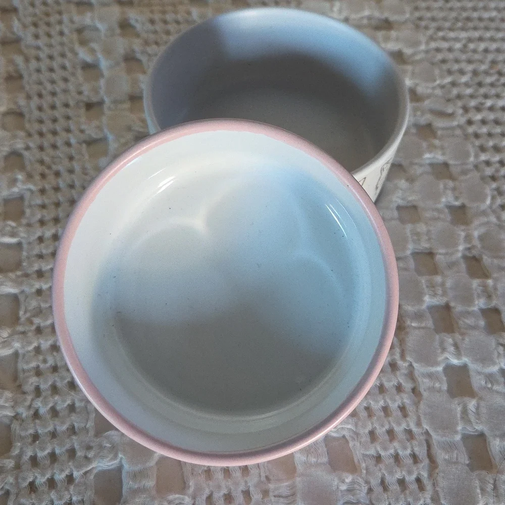 Mellow & Mod Coquette Cute Cats Small Ceramic Pet Bowls Dishes Set of Two